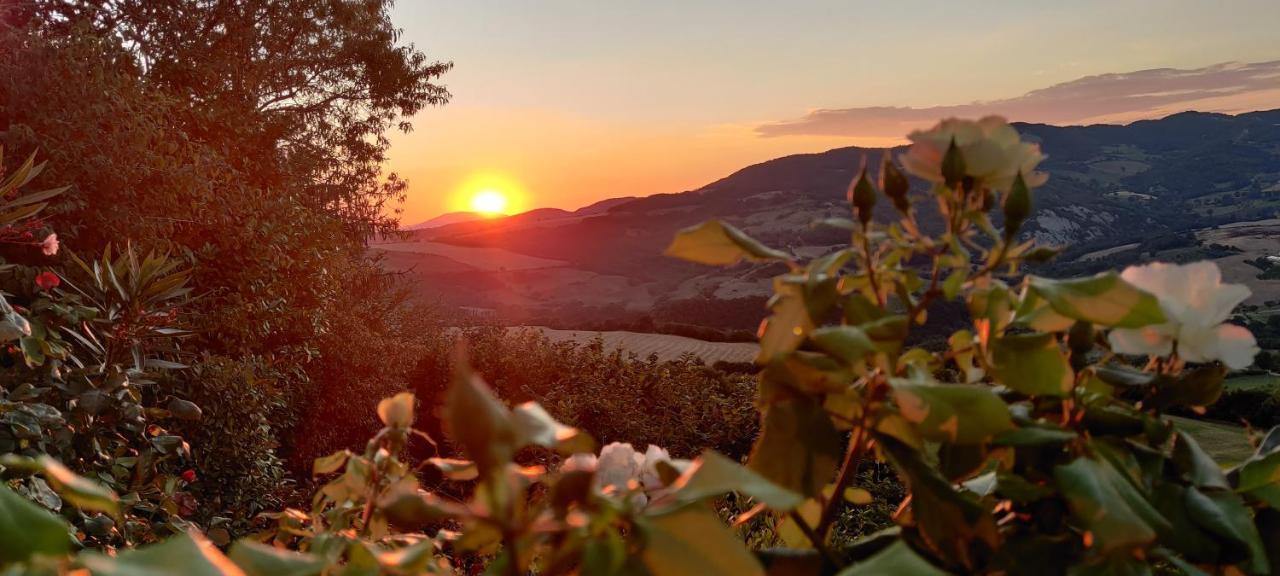 La Terrazza Del Subasio 2*