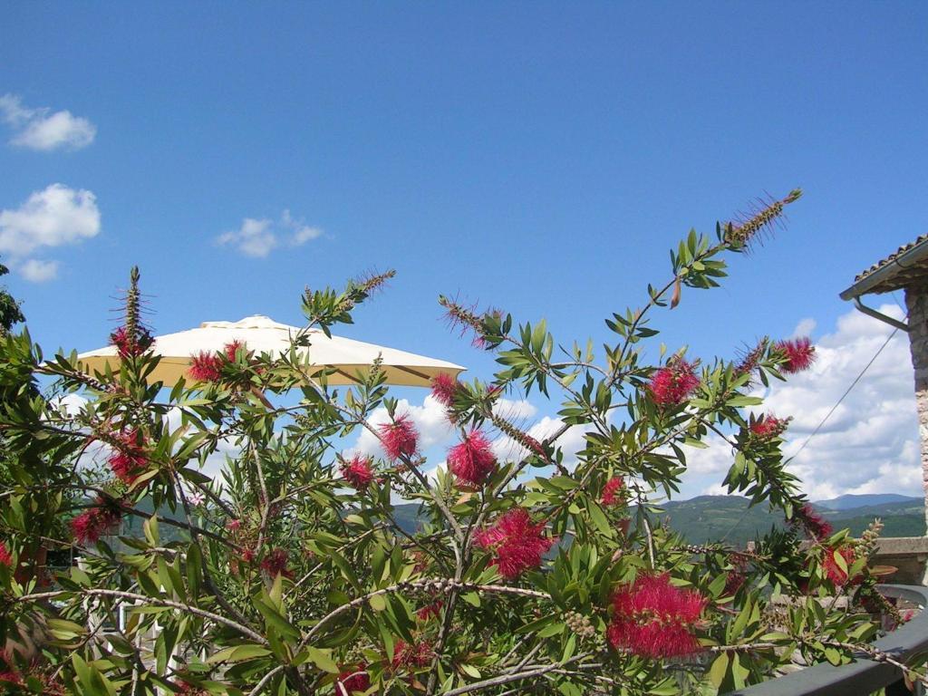 La Terrazza Del Subasio