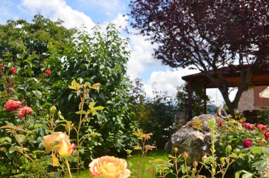 Bed & Breakfast La Terrazza Del Subasio Assisi