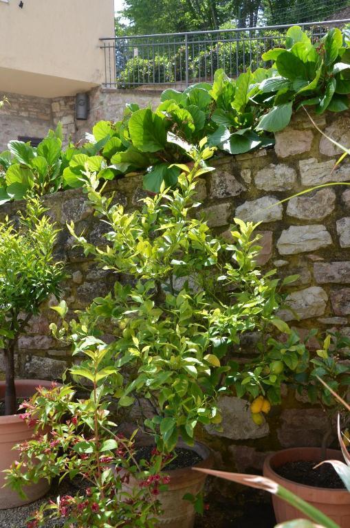 La Terrazza Del Subasio